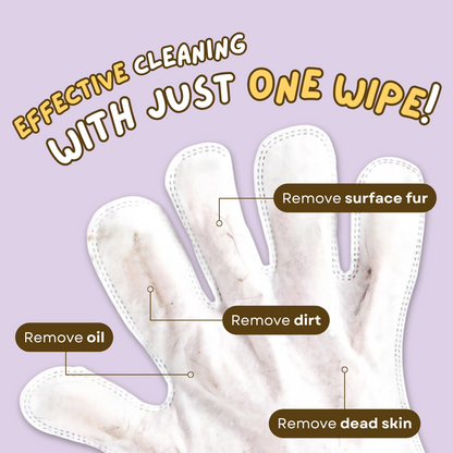 Dry Cleaning Gloves (6 PCS PER PACK)